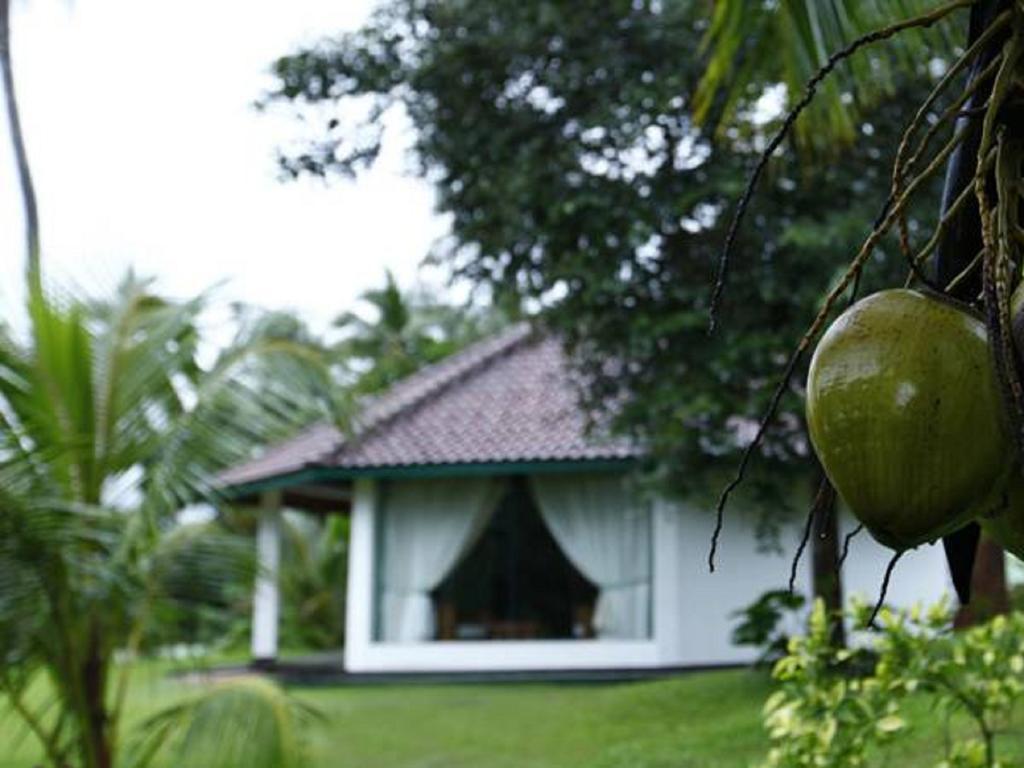 บรูค บูทิค Hotel Melsiripura ภายนอก รูปภาพ