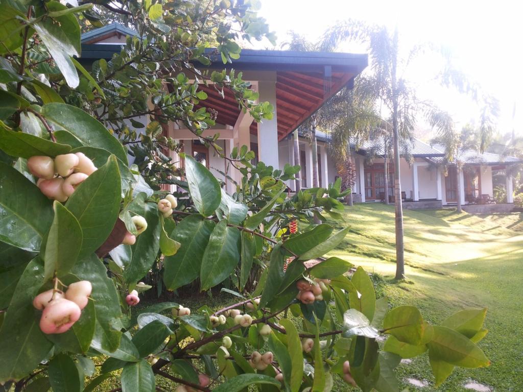 บรูค บูทิค Hotel Melsiripura ภายนอก รูปภาพ